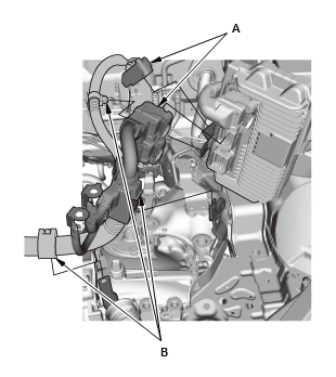 GHH81276