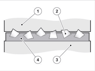 GLL1015831