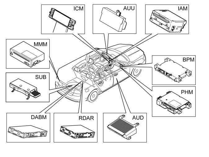 GLL165836