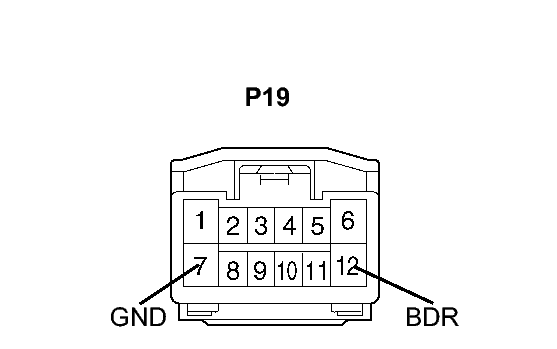 GTY119691
