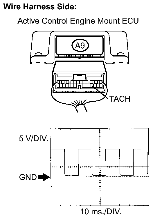 GTY147372