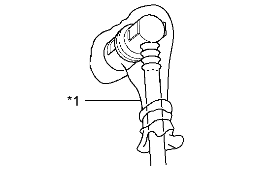 GTY251529